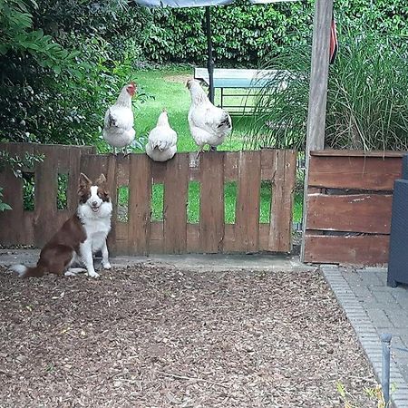 B&B Nieuwleusen 외부 사진