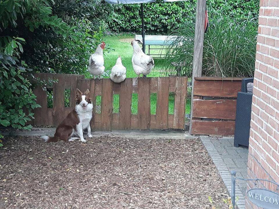 B&B Nieuwleusen 외부 사진